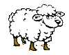 gif sheep