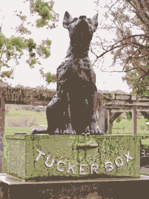 Dog on the Tucker box.