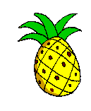 Big Pineapple is an attraction on the Sunshine Coast.