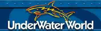 Underwater World an attraction on the Coast with Sunshine.