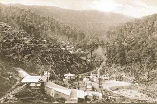 Tasmanian Gold Rush