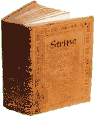Strine Dictionary book